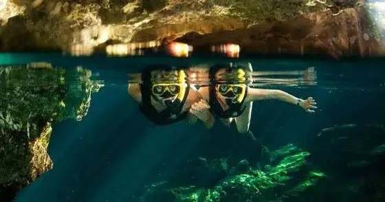 image Cenote Divers Companions