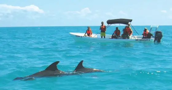 image Sian Ka’an Biosphere Reserve Boat Tour