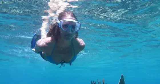 image Snorkeling at the Reef