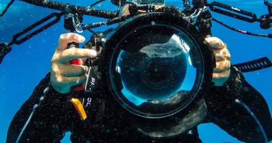 PADI Digital Underwater Photographer Specialty Course - 4 Dives