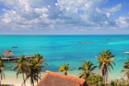 a beach with palm trees and a body of water