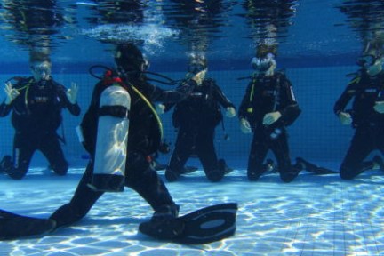 a group of people swimming in a body of water