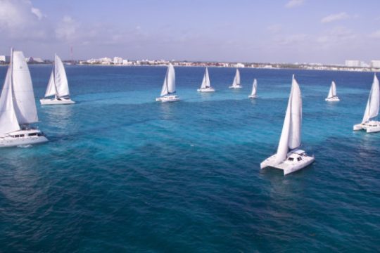 a group of blue and white boat floating on a body of water