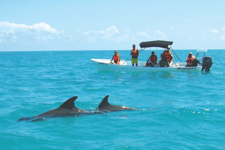 a group of people swimming in a body of water